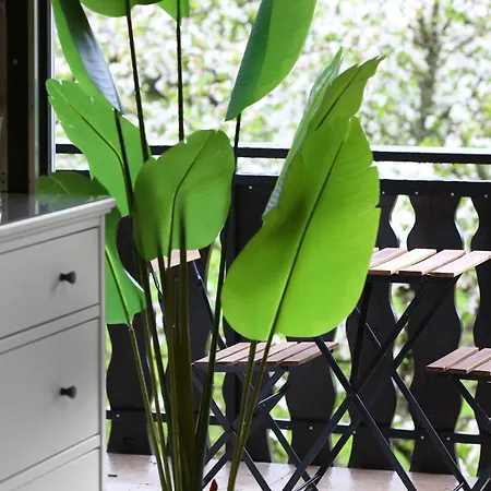 Sunset Valley And بوينج