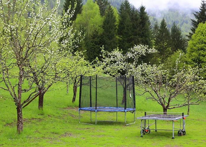 Sunset Valley And בוהין