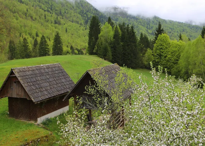 Sunset Valley And דירה בוהין