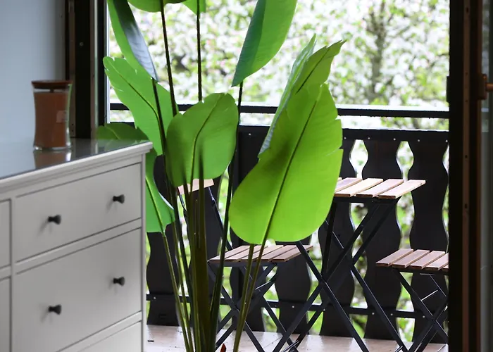 Sunset Valley And בוהין